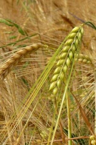 Cover of Barley Grain Ready for the Harvest Journal