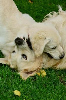 Book cover for Golden Retriever Puppy Dog and Mama Playing Journal