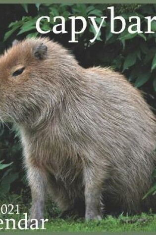 Cover of capybara