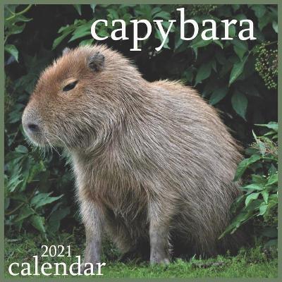 Book cover for capybara