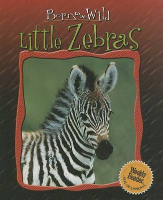 Cover of Little Zebras