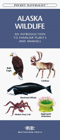 Cover of Alaska Wildlife