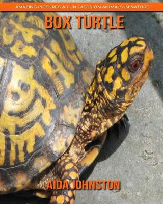 Book cover for Box Turtle