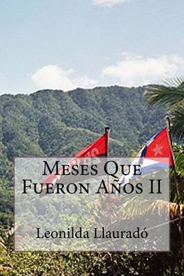 Book cover for Meses Que Fueron A os II