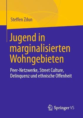 Book cover for Jugend in marginalisierten Wohngebieten