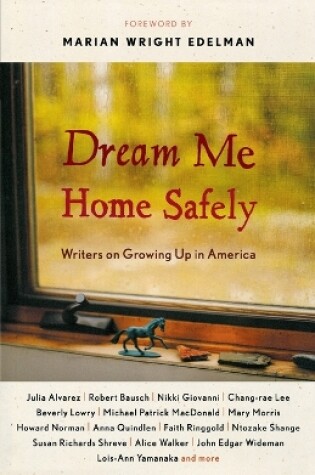 Cover of Dream Me Home Safely