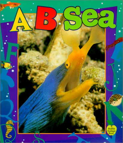 Book cover for B Sea