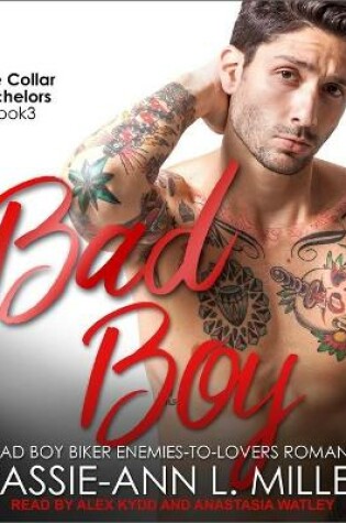 Cover of Bad Boy