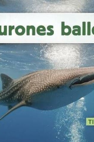 Cover of Tiburones Ballena