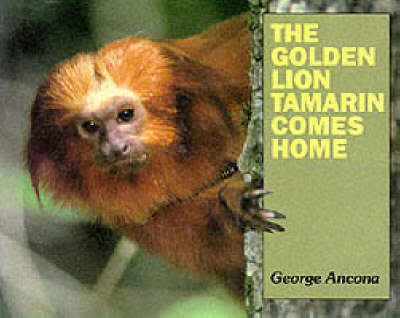 Book cover for The Golden Lion Tamarin Comes Home