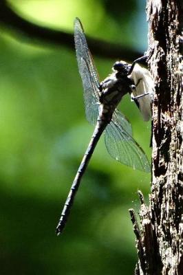 Book cover for Dragonfly & Moth Pretty Blank Lined Journal for daily thoughts notebook Lovely Lake Arrowhead Photograph