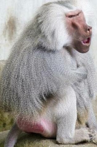 Cover of Hamadryas Baboon Crouched Down and Thinking