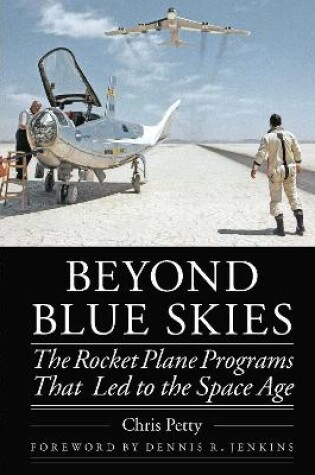 Cover of Beyond Blue Skies