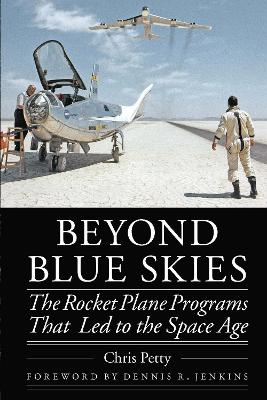 Cover of Beyond Blue Skies