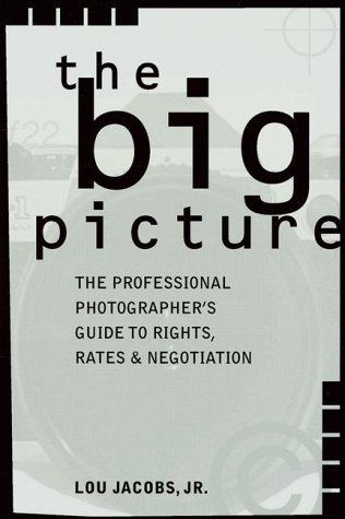 Book cover for The Big Picture