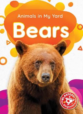 Cover of Bears