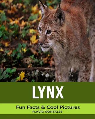 Book cover for Lynx