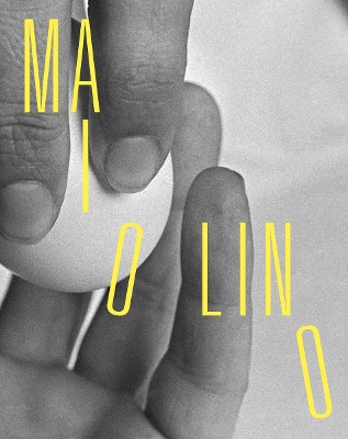 Book cover for Anna Maria Maiolino