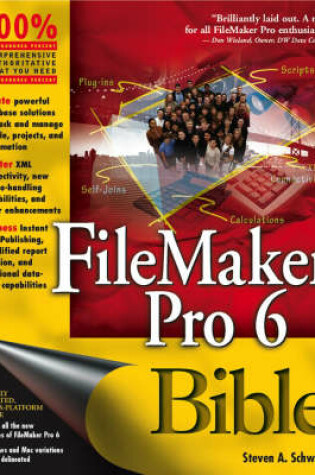 Cover of FileMaker Pro 6 Bible