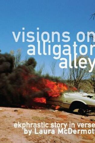 Cover of Visions on Alligator Alley