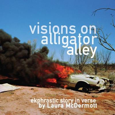 Book cover for Visions on Alligator Alley