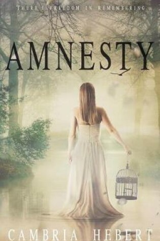 Cover of Amnesty