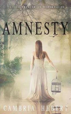 Book cover for Amnesty