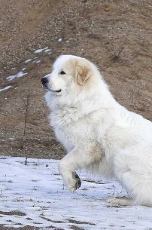 Cover of Pyrenean Mountain Dog Notebook