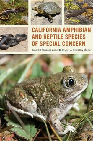 Cover of California Amphibian and Reptile Species of Special Concern