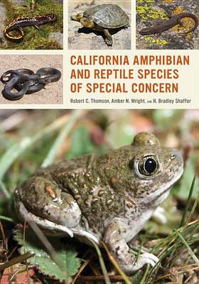 Cover of California Amphibian and Reptile Species of Special Concern