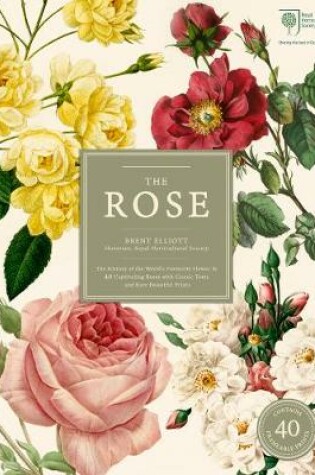 Cover of The Rose