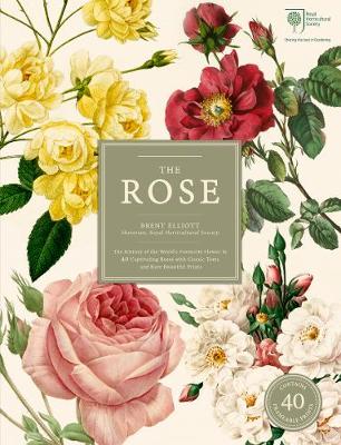 Book cover for The Rose