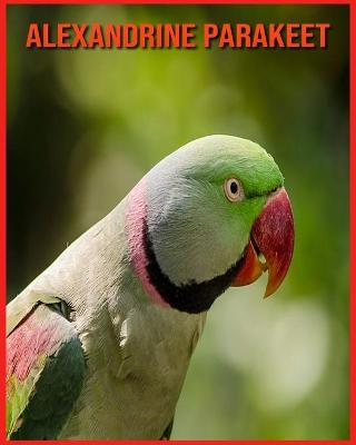 Book cover for Alexandrine Parakeet