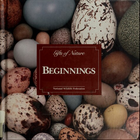 Book cover for Beginnings