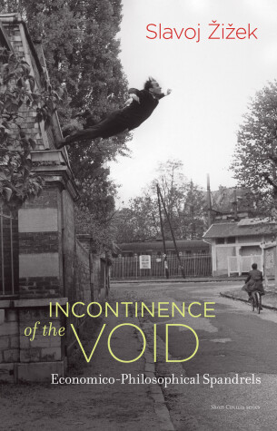 Book cover for Incontinence of the Void