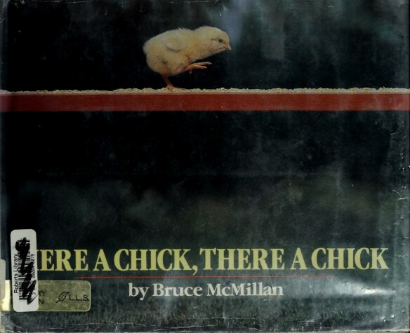 Book cover for Here a Chick, There a Chick