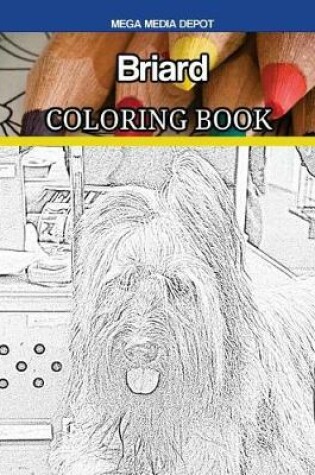 Cover of Briard Coloring Book