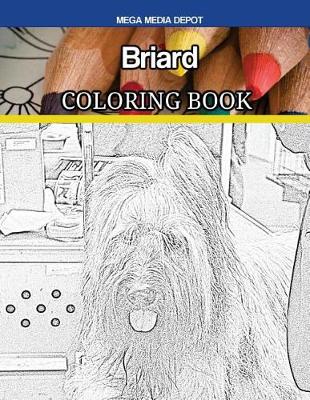 Book cover for Briard Coloring Book