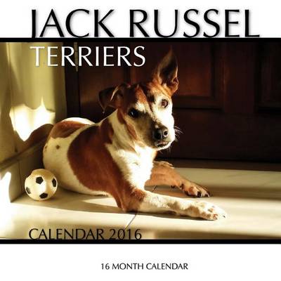 Book cover for Jack Russel Terriers Calendar 2016