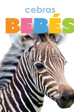 Cover of Cebras Bebés