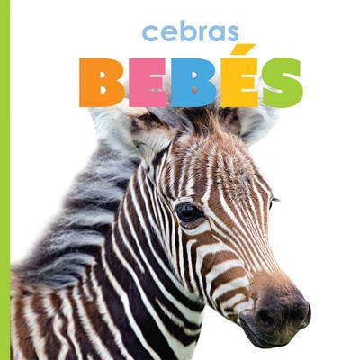 Cover of Cebras Bebés