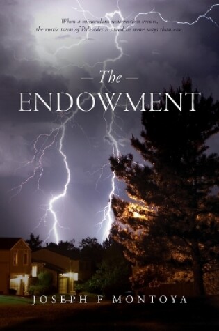 Cover of The Endowment