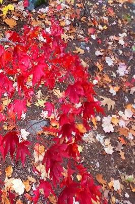 Cover of 2019 Weekly Planner Fall Foliage Red Japanese Maple Leaves 134 Pages