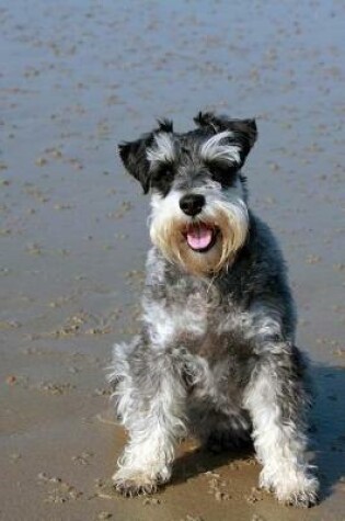 Cover of Happy Little Miniature Schnauzer Dog at the Beach Journal