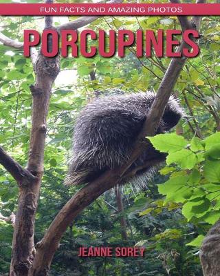 Book cover for Porcupines