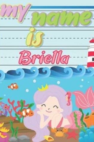 Cover of My Name is Briella