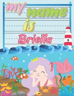 Book cover for My Name is Briella
