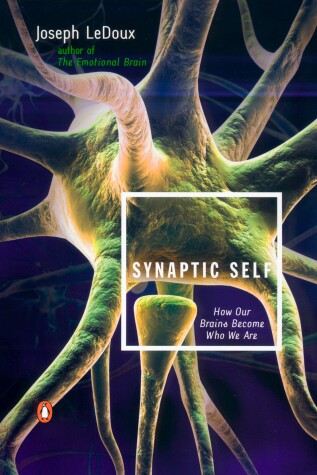 Book cover for Synaptic Self