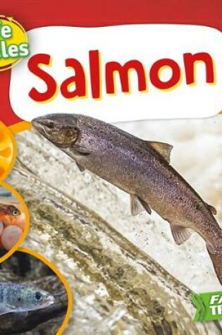 Cover of Salmon