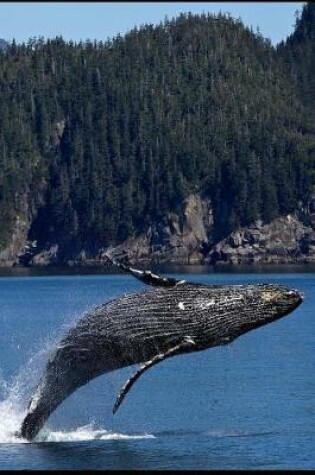 Cover of Alaska Journal - Humpback Whale Breaching